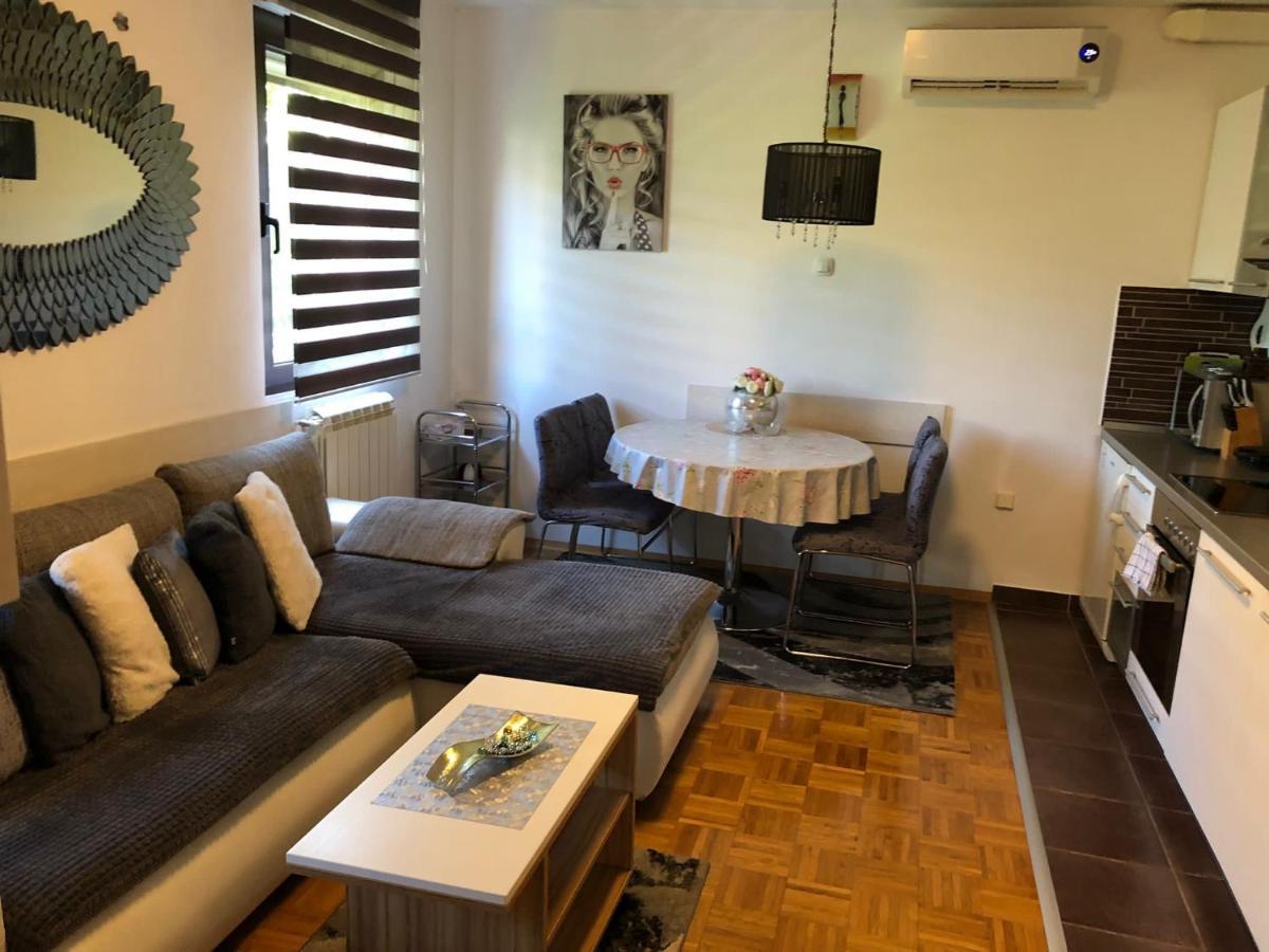 Apartment Sweet Dreams-Close To Zoo,Dinamo Stadium And The City Center Zagreb Ngoại thất bức ảnh